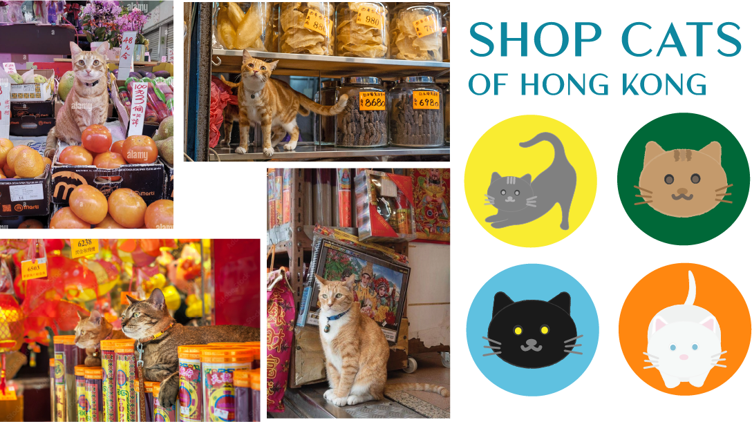 shop_cats_pic
